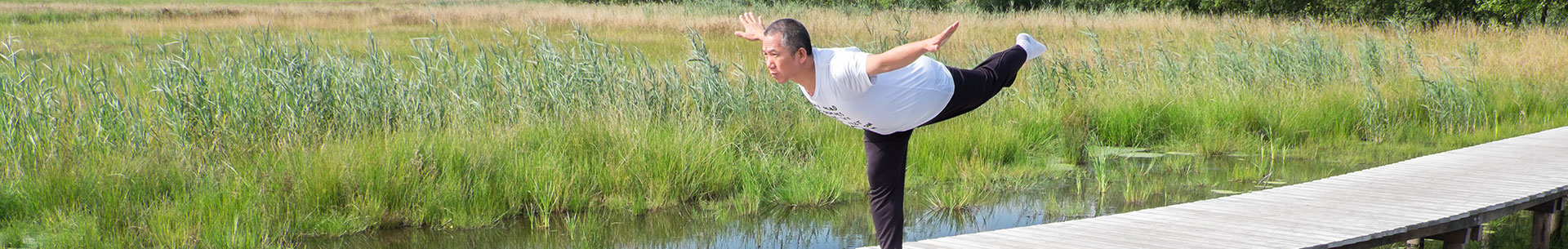 Zhineng Qigong Level 3